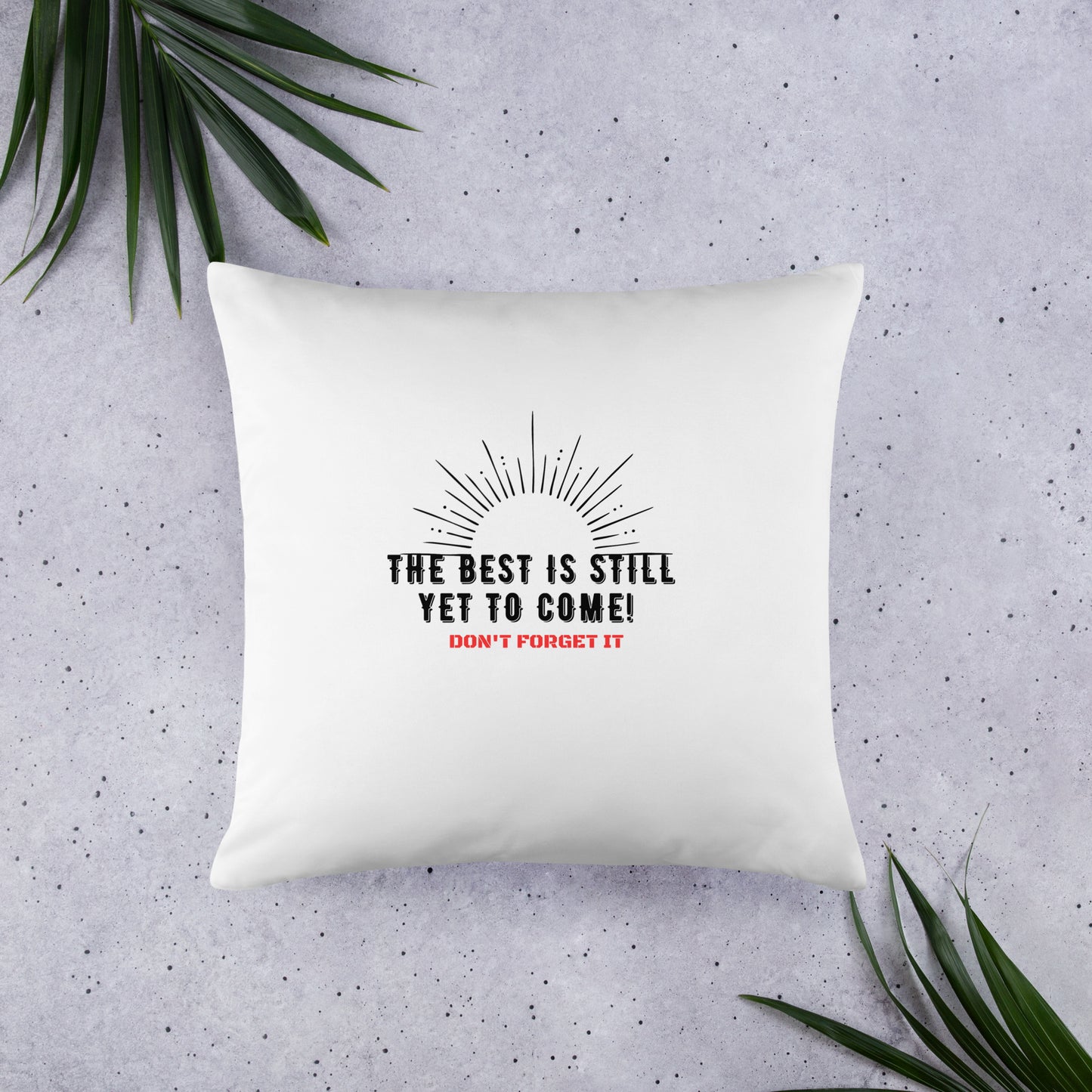 Basic Pillow-The BEST is Yet to Come!